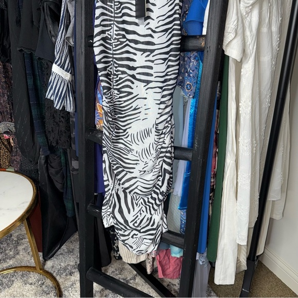 Lioness Mesh Zebra Print Mini Dress in Black White - Picture 5 of 11